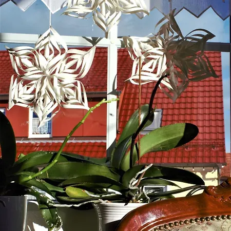 摩尔巴德斯多本酒店 招待所