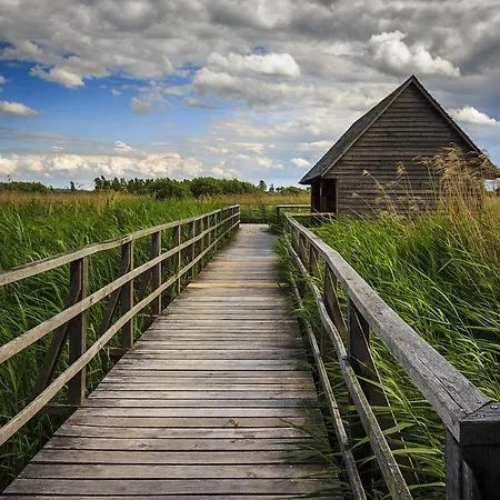 Moorbadstuben Πανσιόν Bad Buchau