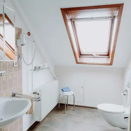 Hotel Moorbadstuben Guest house Bad Buchau