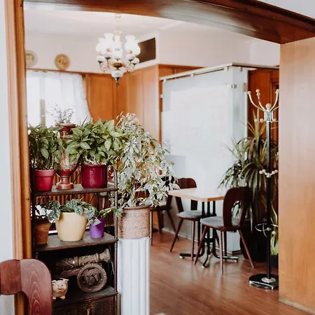 Hotel Moorbadstuben Guest house 3*